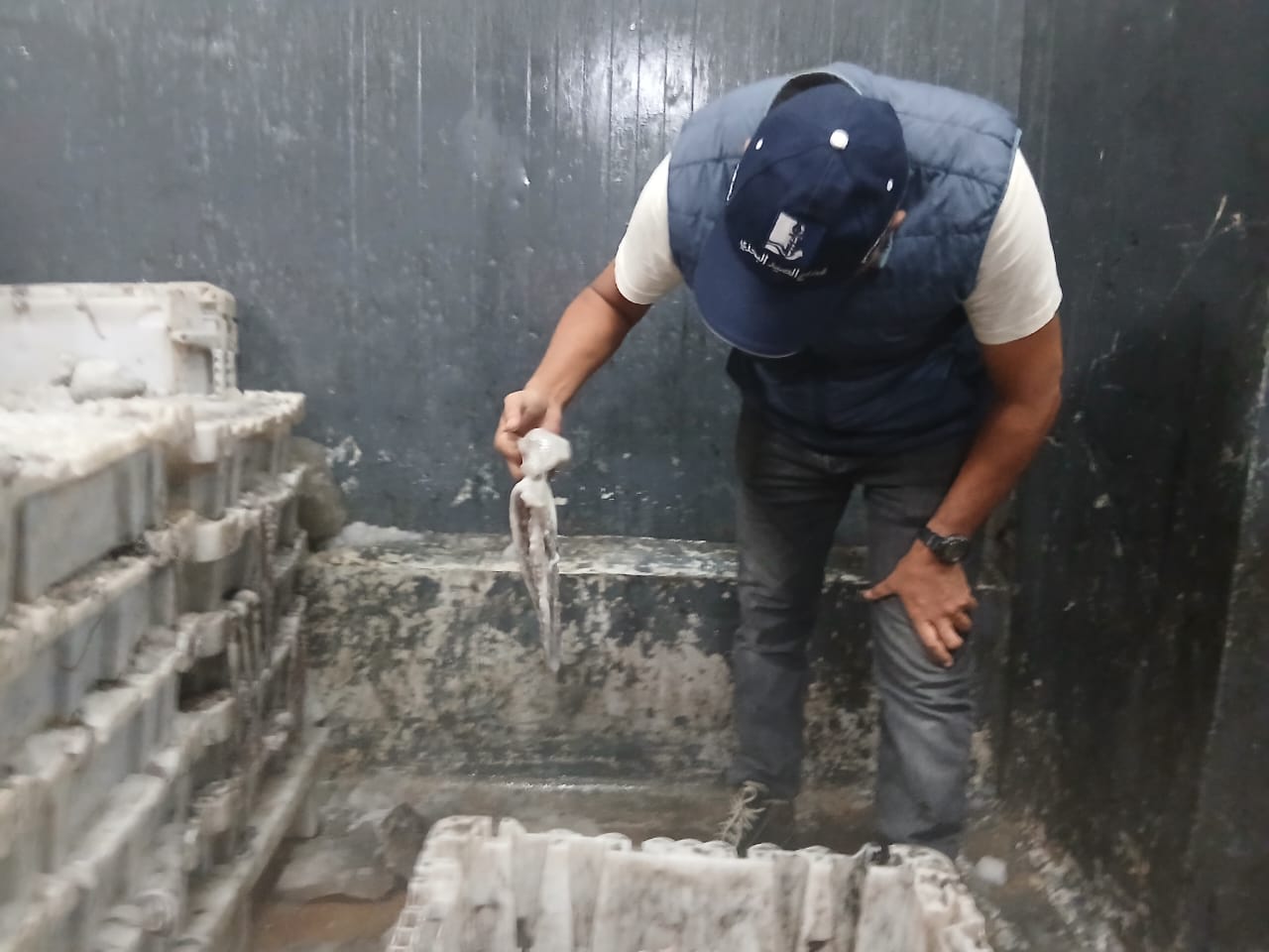 مندوبية الصيد البحري بالعيون ثكتف عمليات المراقبة.